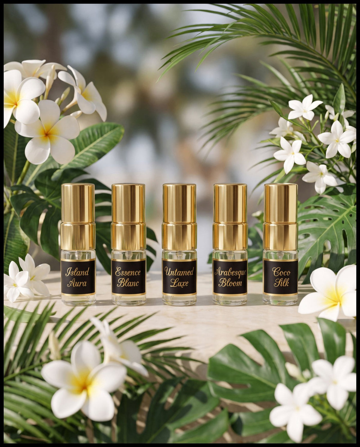 Signature Discovery Set - tropical setting